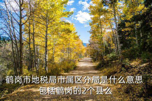 片區(qū)稅務(wù)分局是什么，陽宗海片區(qū)屬于哪個稅務(wù)局