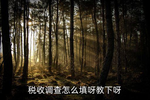 稅收調查怎么填呀教下呀