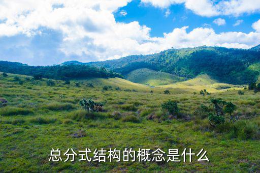 總分機(jī)構(gòu)標(biāo)志是什么意思，總分機(jī)構(gòu)納稅人是什么意思