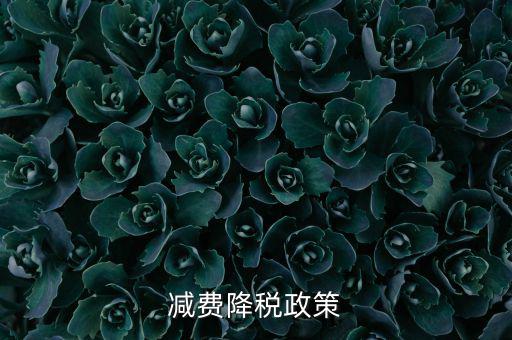做好6項減稅政策的內(nèi)容是什么，減費降稅政策