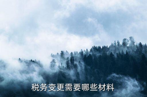 變更辦稅員要帶什么，財務(wù)負(fù)責(zé)人和辦稅員的變更需要辦理哪些手續(xù)