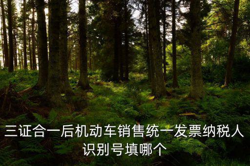 統(tǒng)一納稅識(shí)別號(hào)是什么，三證合一后機(jī)動(dòng)車銷售統(tǒng)一發(fā)票納稅人識(shí)別號(hào)填哪個(gè)