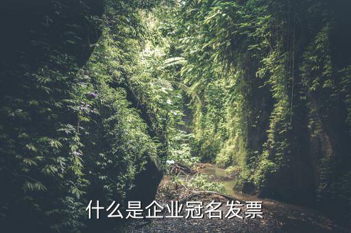 冠名發(fā)票屬于什么發(fā)票，什么是企業(yè)冠名發(fā)票