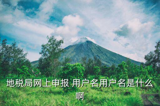 地稅注冊(cè)用戶名是什么意思，地稅的用戶名是什么