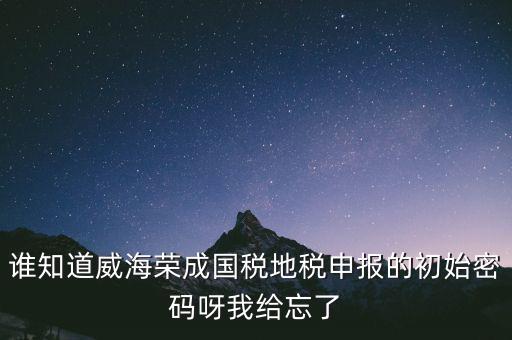 申報(bào)地稅的密碼是什么，徐州地稅網(wǎng)上申報(bào)的初始密碼是多少啊