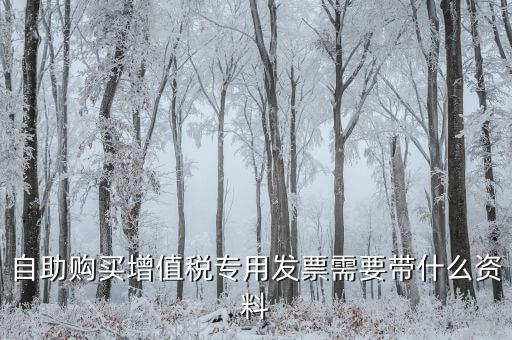 自助發(fā)票需要帶什么，自助購買增值稅發(fā)票需要身份證嗎