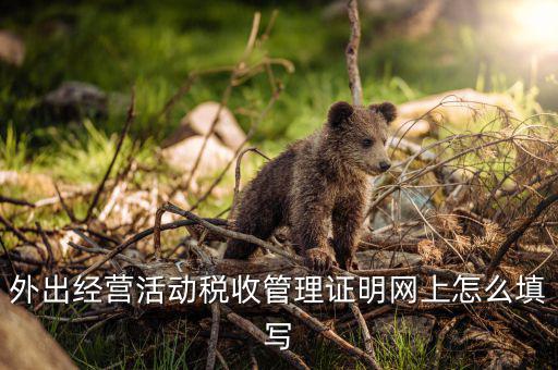 外管證編號是什么，外出經(jīng)營活動稅收管理證明網(wǎng)上怎么填寫