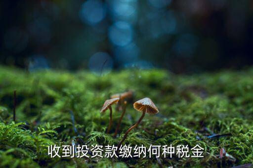 銷售投資品 納什么稅，收到投資款繳納何種稅金