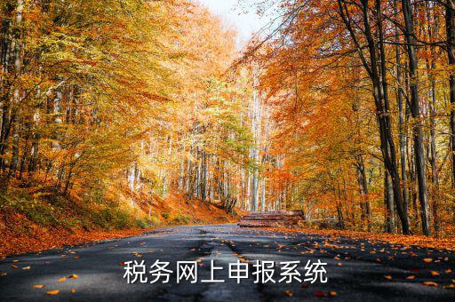 什么是稅收網(wǎng)報軟件，稅務網(wǎng)上申報系統(tǒng)