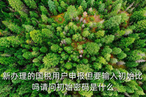 初始申報密碼是什么，小關(guān)稅務(wù)所 新企業(yè) 網(wǎng)上納稅申報初始密碼是什么