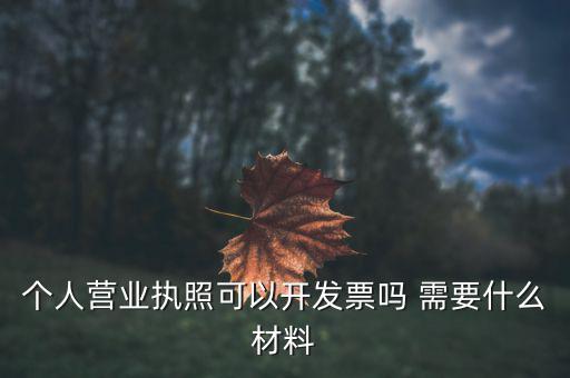 個(gè)體打印發(fā)票需要什么，個(gè)人購(gòu)物開(kāi)增值稅普通發(fā)票需要什么資料