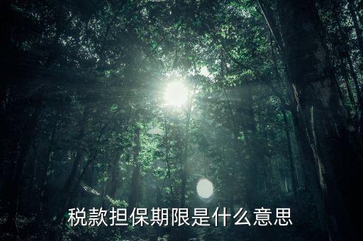 納稅擔(dān)保人什么意思，稅款擔(dān)保期限是什么意思