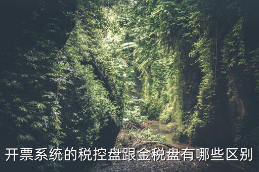 金稅盤和稅控盤什么區(qū)別，金稅盤和稅控盤開出的發(fā)票有什么區(qū)別