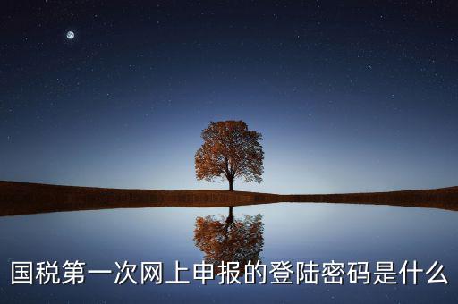 國(guó)稅第一次網(wǎng)上申報(bào)的登陸密碼是什么