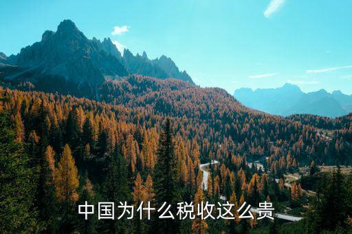 中國(guó)為什么靠稅收，中國(guó)為什么稅收這么貴