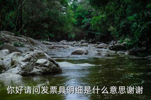 你好請(qǐng)問(wèn)發(fā)票具明細(xì)是什么意思謝謝