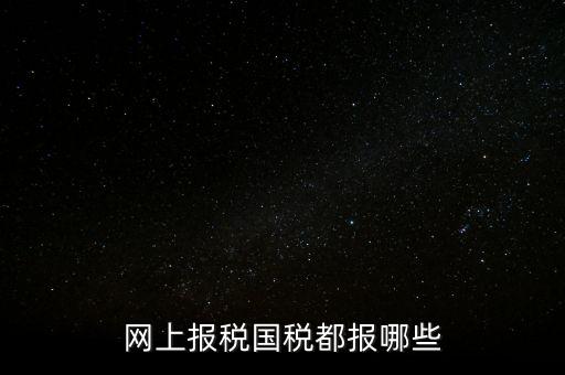 網上報稅國稅都報哪些
