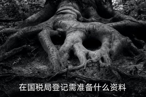 稅務登記備什么，在國稅局登記需準備什么資料