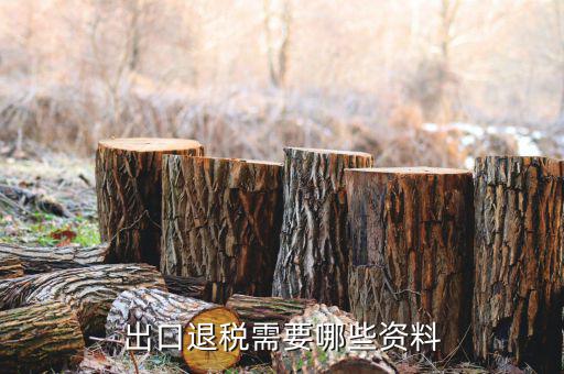 外貿(mào)退稅需要什么資料，出口退稅需要哪些資料
