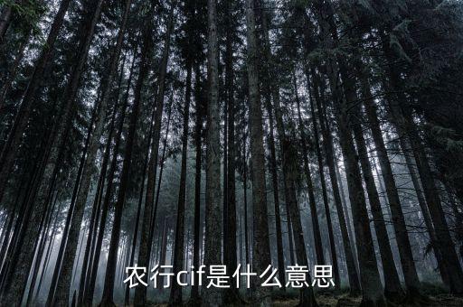 金稅四期是什么，什么是金關金橋金卡金稅