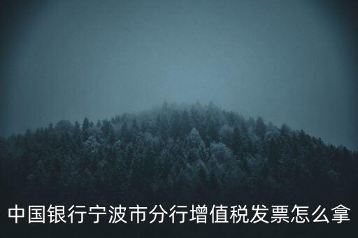 寧波國稅過發(fā)票要帶什么，浙江地區(qū)公司首次拿發(fā)票去國稅局需要帶什么證件