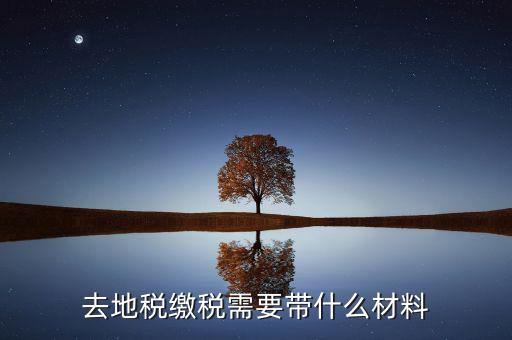 地稅局定稅要拿什么，去地稅局報稅需要拿什么東西