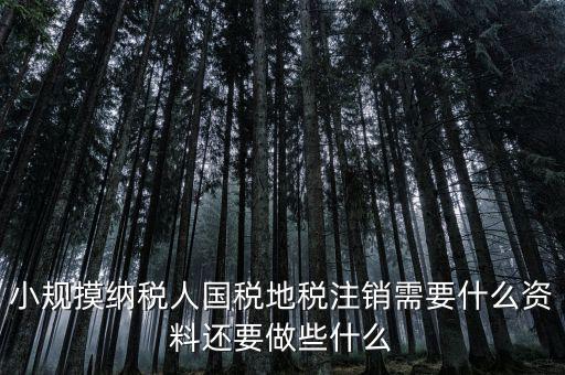 國(guó)地稅注銷需要什么，小規(guī)摸納稅人國(guó)稅地稅注銷需要什么資料還要做些什么