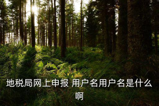 地稅申報(bào)用戶名是什么，地稅申報(bào)的用戶名和密碼是什么
