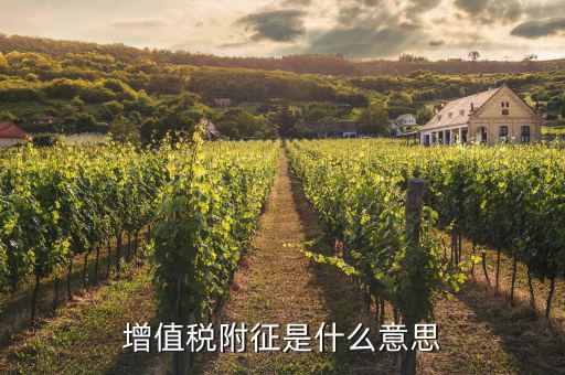 增值稅附征三稅是什么，通常說的三稅是指什么啊