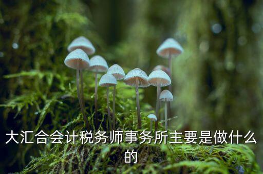 大匯合會計(jì)稅務(wù)師事務(wù)所主要是做什么的