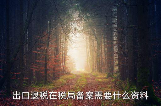 出口退稅備份什么格式，出口退稅單證備案