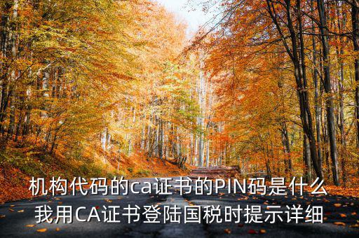國(guó)稅ca證書(shū)登錄 密碼是什么，國(guó)稅第一次網(wǎng)上申報(bào)的登陸密碼是什么