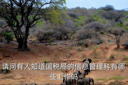 稅務(wù)信息崗位主要負責什么，地稅信息中心具體做些什么工作