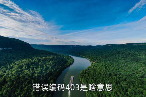 稅收分類編碼錯誤的是什么意思，錯誤編碼403是啥意思