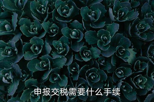 辦理稅務(wù)需要什么手續(xù)，稅務(wù)登記 代辦需要什么手續(xù)