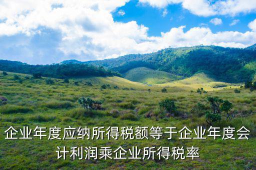 應(yīng)納稅所得額等于什么，什么是應(yīng)納稅所得額