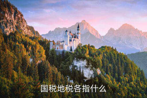 國(guó)稅代征地稅什么意思，國(guó)稅地稅各指什么
