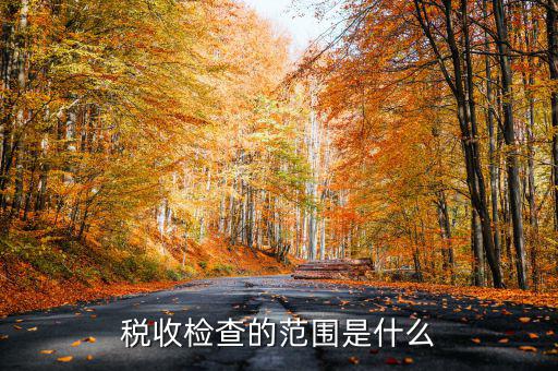 在地稅局需要檢查什么地方，稅務(wù)年檢是什么地方的來檢查