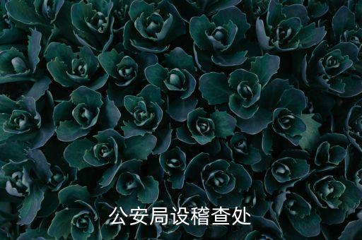 稽查處是什么部門，公安局設稽查處