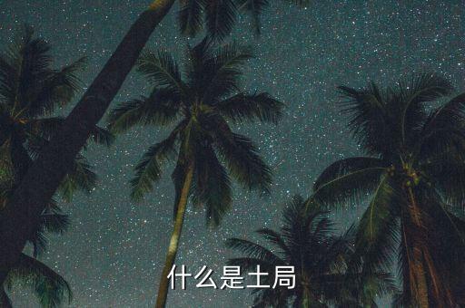 土稅局是什么意思，什么是土局