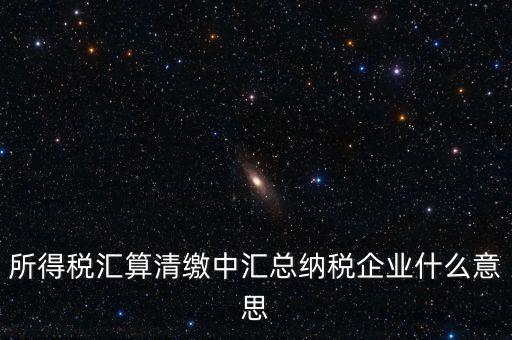 什么匯總納稅企業(yè)所得稅，關(guān)于企業(yè)所得稅匯總繳納
