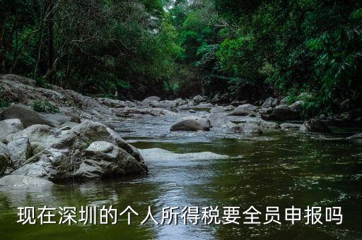 深圳為什么要個(gè)稅申報(bào)，外地企業(yè)如何在深圳為什么還要繳納個(gè)人所得稅1