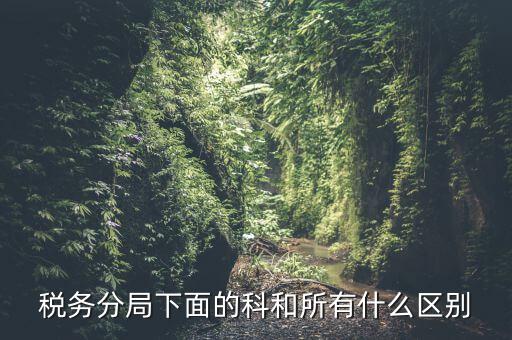 稅局計(jì)統(tǒng)科是什么意思，稅務(wù)分局下面的科和所有什么區(qū)別