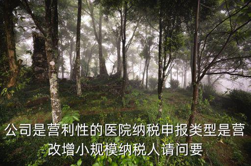 營改增醫(yī)院用什么發(fā)票，營改增認(rèn)定的一般納稅人使用什么發(fā)票