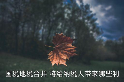 國地稅合作給地方帶來什么，國地稅合并后將帶來哪些變化對于財務(wù)工作人員有哪些便利  搜