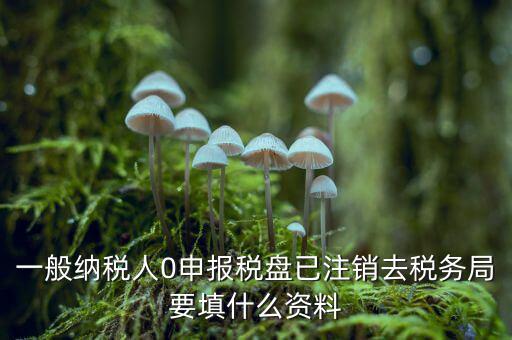 注銷(xiāo)金稅盤(pán)需要帶什么資料，請(qǐng)問(wèn)注銷(xiāo)稅務(wù)登記需要提供哪些資料