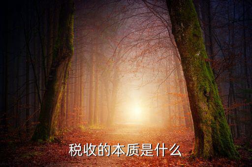 納稅服務本質(zhì)是什么意思，稅收的本質(zhì)是什么
