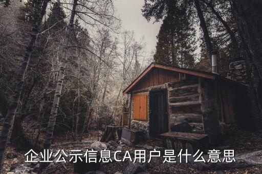 納稅人ca用戶是什么意思，什么是CA用戶啊