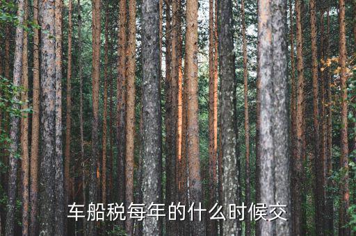 車船稅從什么時(shí)間交，車船稅什么時(shí)候交比如要交2017年的是2016年12月31日前交還是