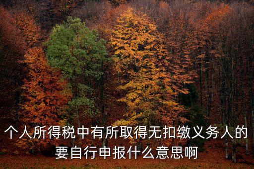 個人所得稅中有所取得無扣繳義務人的要自行申報什么意思啊
